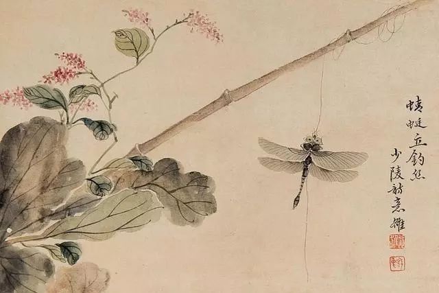 翁小海花鸟鱼虫精品鉴赏