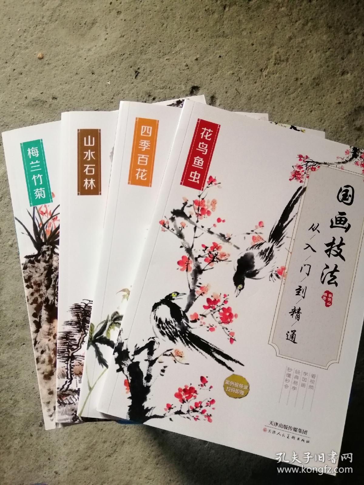 正版 【组套4本】国画技法 从入门到精通 山水石林+花鸟鱼虫+梅兰竹菊+四季百花 艺术 绘画 素描速写 天津人民美术出版社