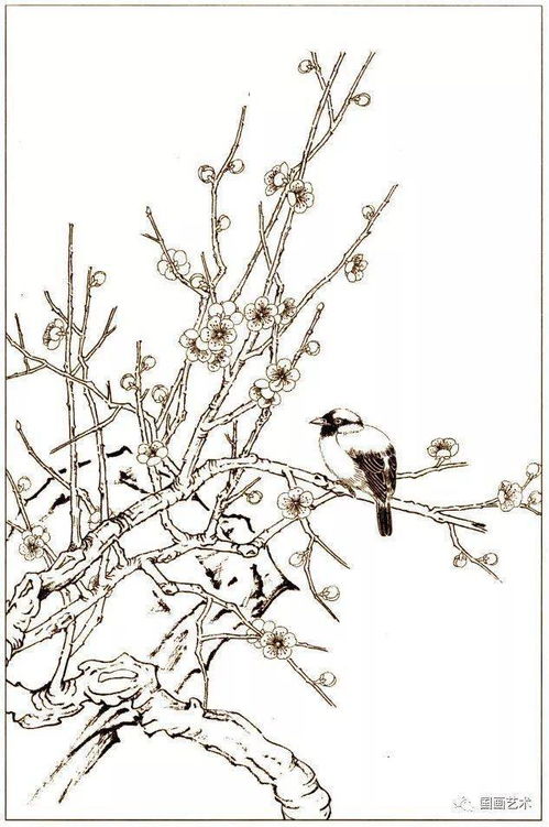 花鸟鱼虫白描画谱 4