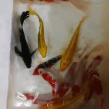 广源工艺品市场花鸟鱼虫文玩