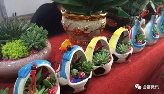 卖花鸟鱼虫,我们是认真的 电话 13856476521
