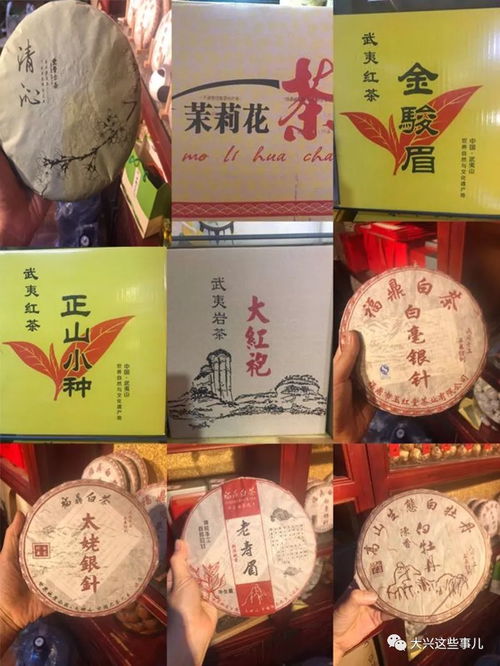 不用愁了 想买花鸟鱼虫就来这儿