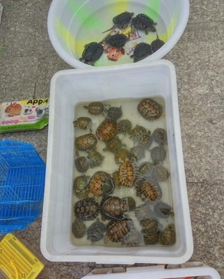 有没有一种产品或者生意,男女老少皆宜都喜欢购买,答案是有比如这种