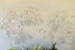 试拍俺别样的花鸟鱼虫