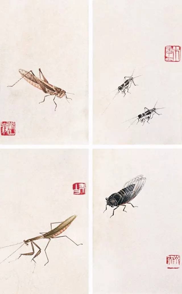 齐白石的花鸟鱼虫 - 中国书画网