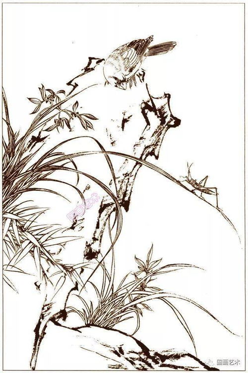 花鸟鱼虫白描画谱 4