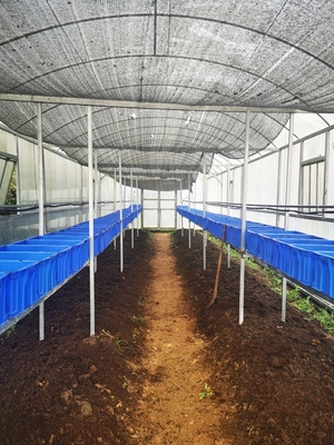 度小满精准扶贫登上《新闻联播》,央视点赞金融扶贫新模式