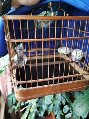 昆明鸟笼、书包笼、绣眼鸟笼_昆明花鸟鱼虫