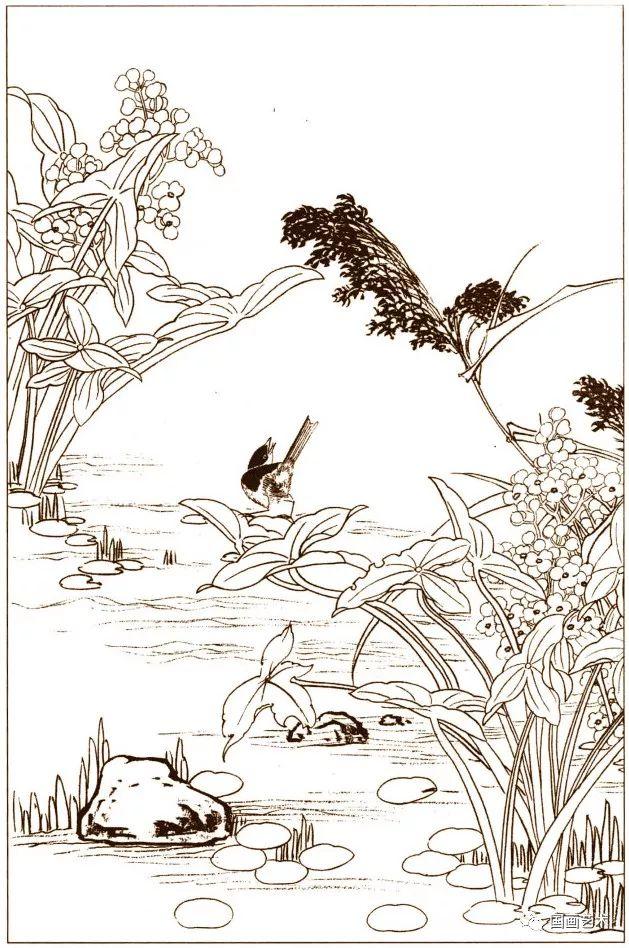 花鸟鱼虫白描画谱(4)