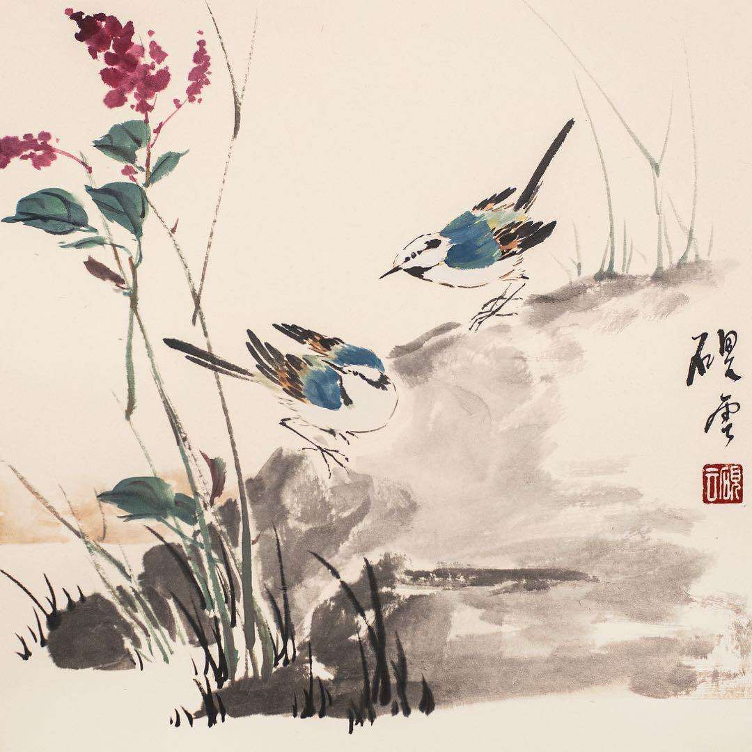 花鸟鱼虫学习与欣赏 - 美篇