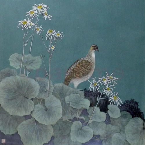 薛居波 花鸟鱼虫草的自然之歌