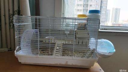 晋中花鸟鱼虫·二手市场