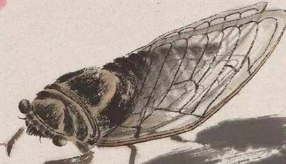 齐白石的一幅普通“蝉”为何能值8亿?专家:把画放大10倍就懂了