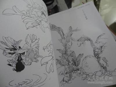 国画:花鸟鱼虫白描画谱