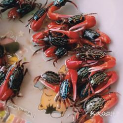 西太堡花鸟鱼虫市场