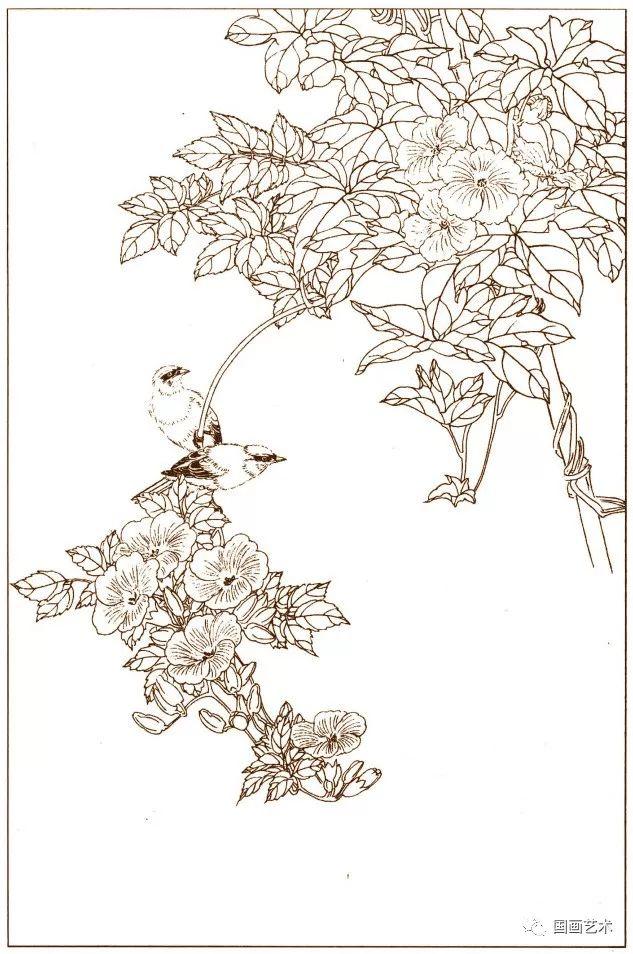 花鸟鱼虫白描画谱(4)