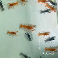 【花鸟鱼虫】电话,地址,价格,营业时间(图) - 天津购物